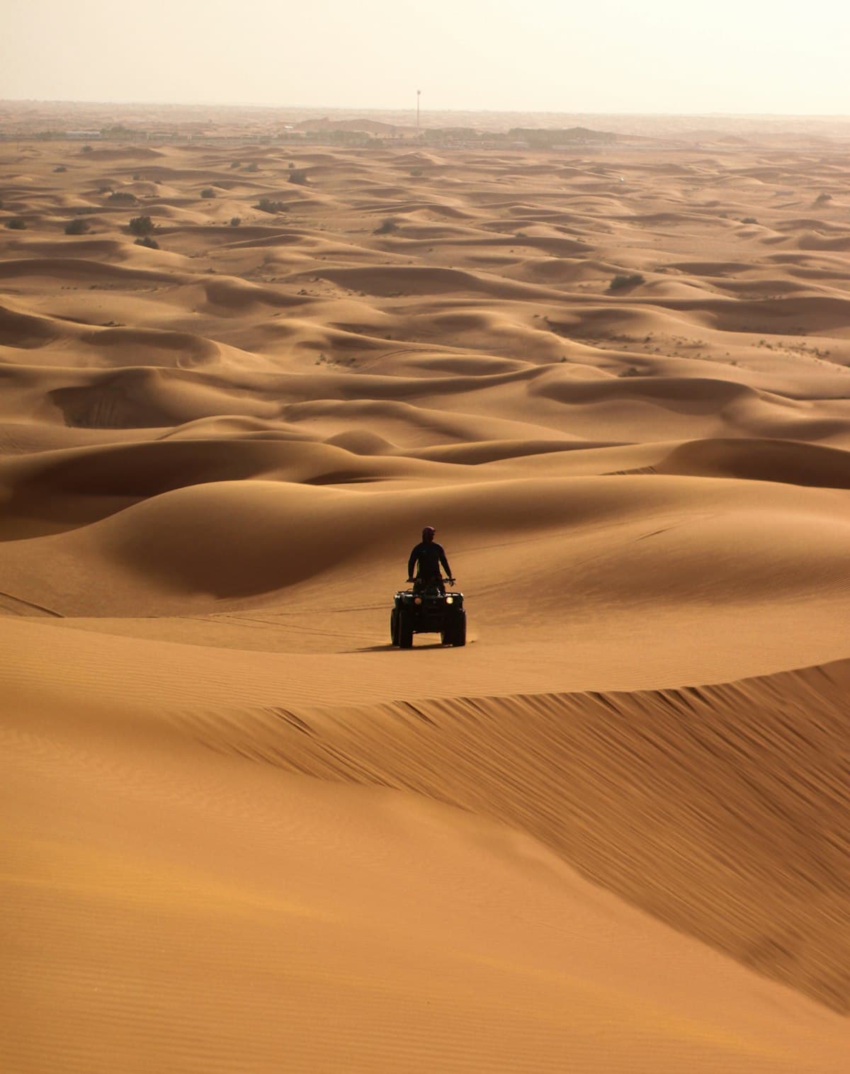 Quad / VTT dans le desert